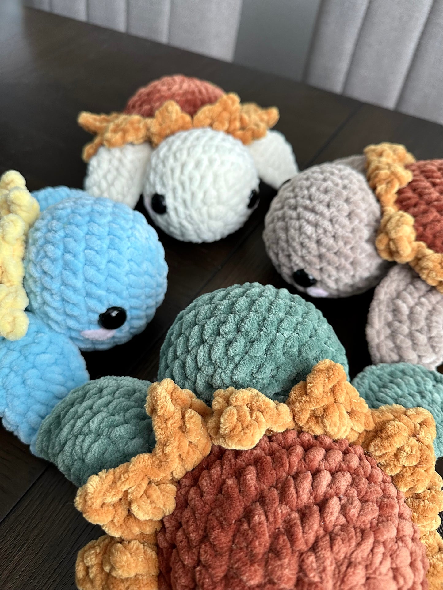 Sunflower Sea Turtle