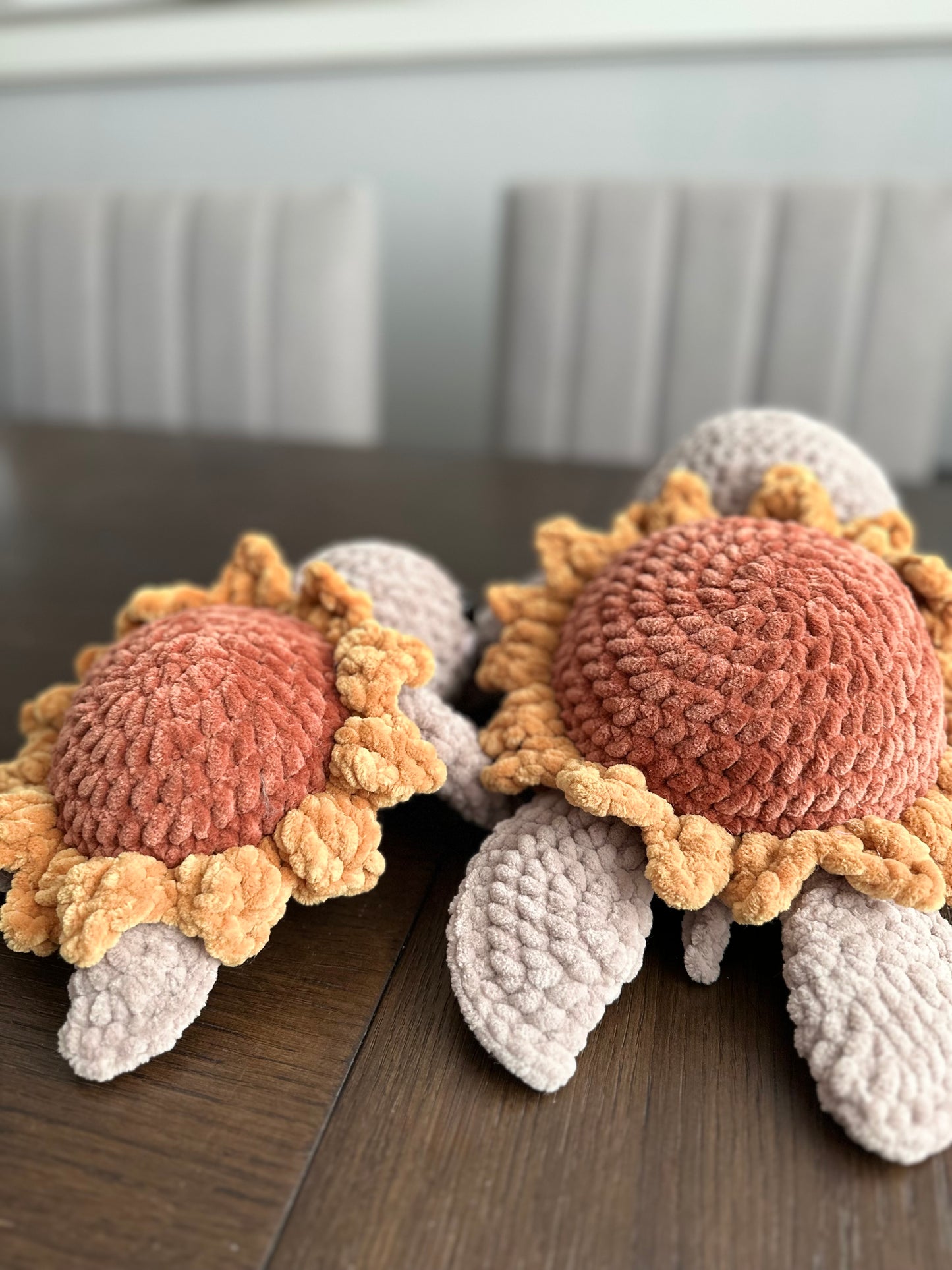 Sunflower Sea Turtle