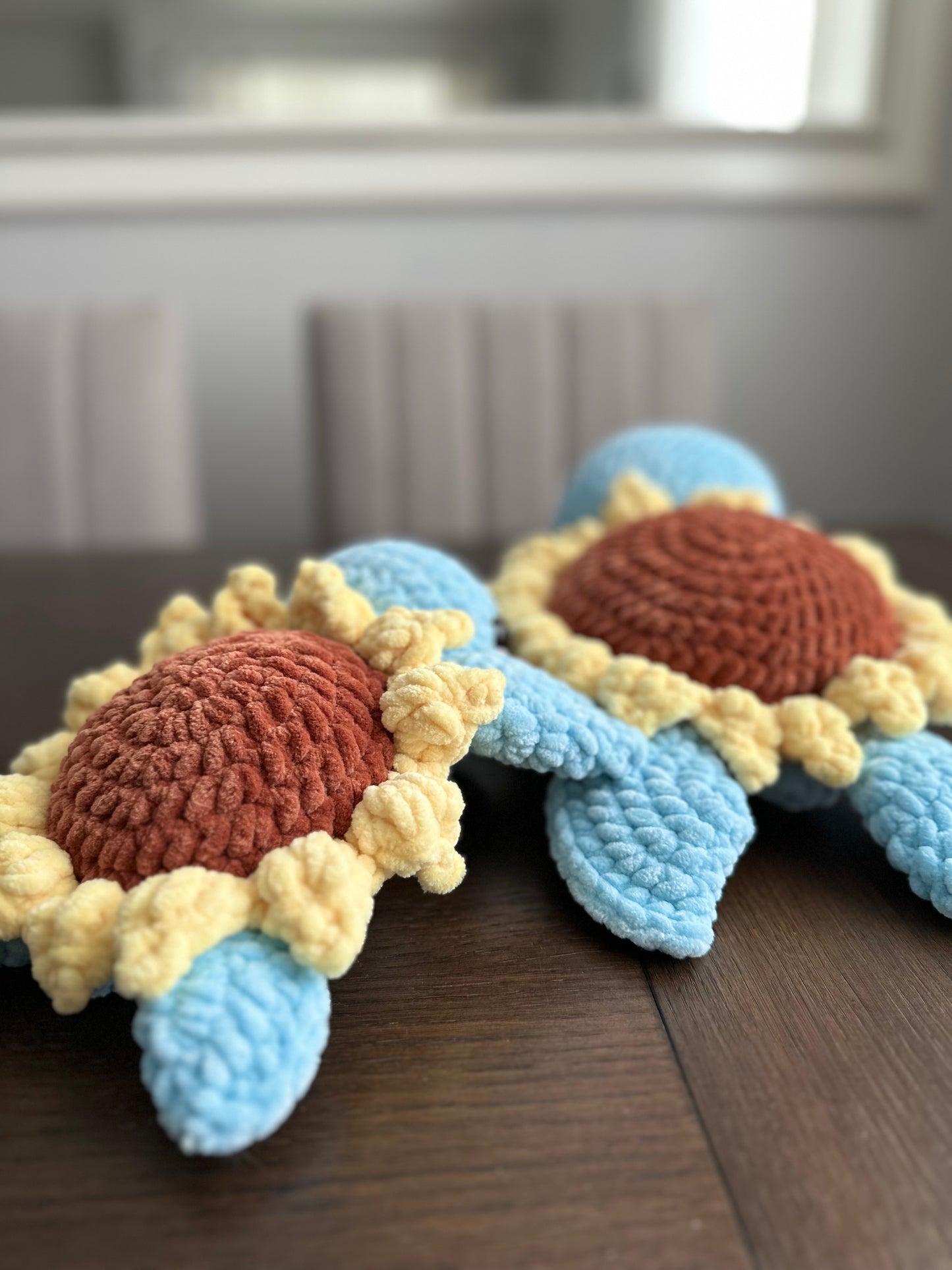 Sunflower Sea Turtle