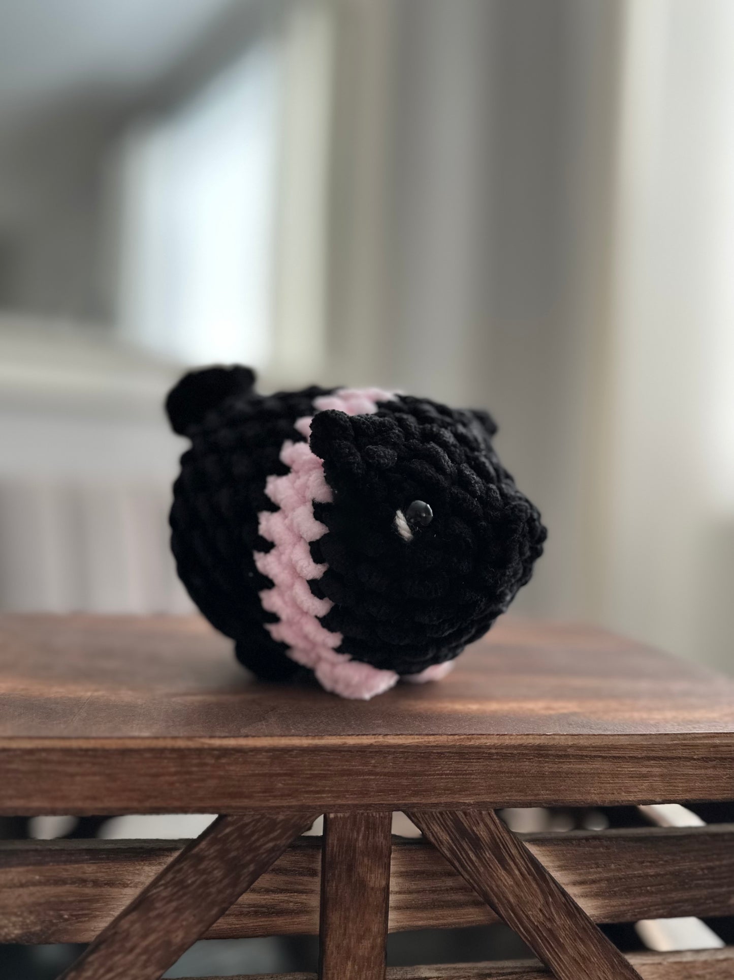Mini Pig